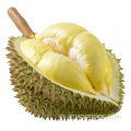 Polvo de jugo de durian 100% natural